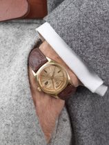 WRIST ICONS Brunette brown ostrich watch strap
